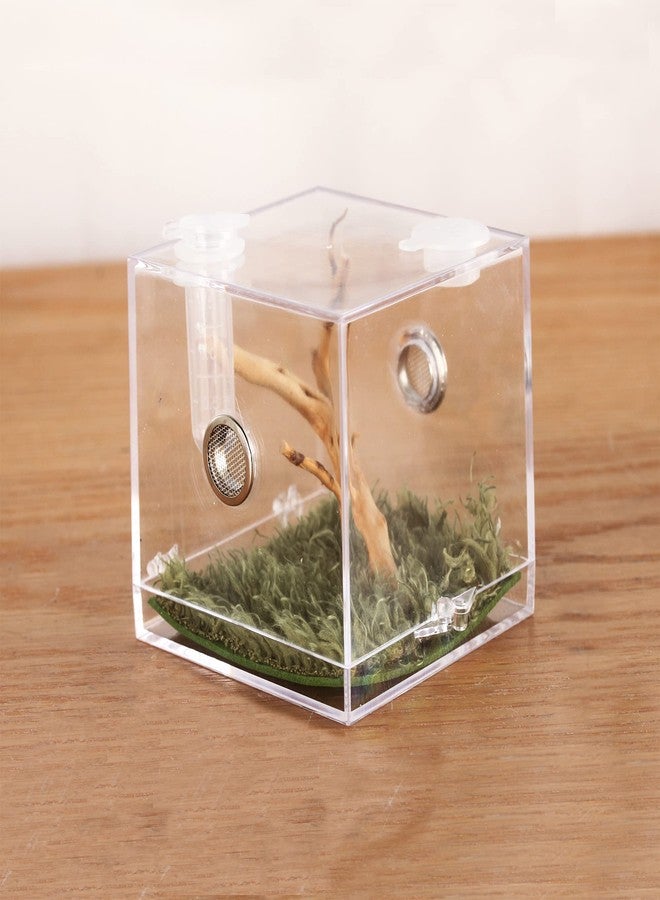 crapelles Jumping Spider Micro Big Habitat, Small Pet Insect Breeding Box, 360 Degree High Transparent Reptile Cage, Acrylic Case Mini Carrier for Amphibians, Feeding Container Enclosure Accessories - Image 1